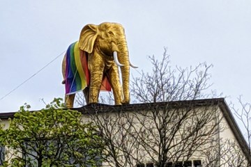 Regenbogenfahne Naturhistorisches Museum Bern NMBE. Vergrösserte Ansicht