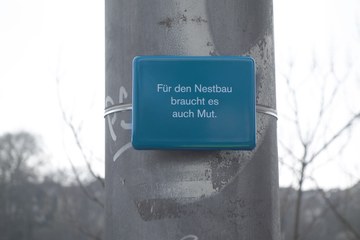 Für den Nestbau braucht es auch Mut  NISCHEN Tine Melzer. Vergrösserte Ansicht