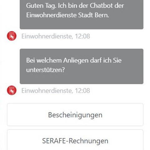 Screenshot Chatbot