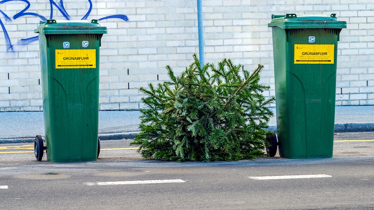 Zwischen zwei Grüngutcontainern liegt am Strassenrand ein Tannenbaum.