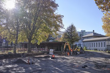 Pilotprojekt Schwammstadt: Blick auf die Versuchsfläche. Vergrösserte Ansicht