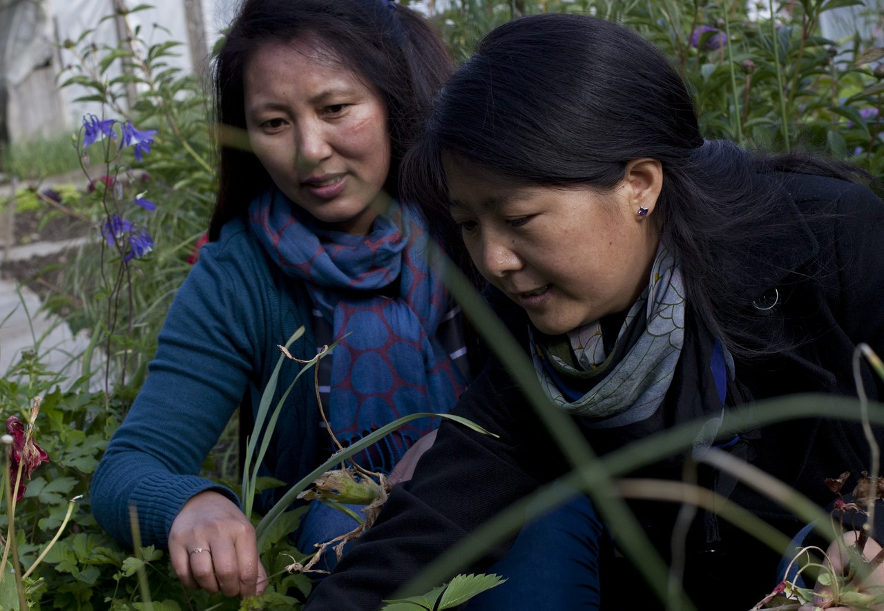 Zwei Frauen arbeiten im Garten