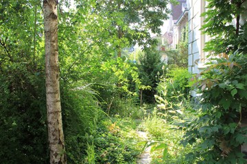 BiodiversitätsGarten. Vergrösserte Ansicht