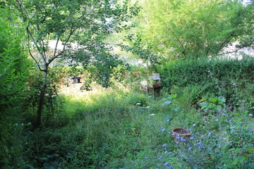 BiodiversitätsGarten. Vergrösserte Ansicht