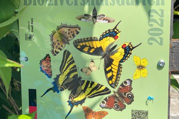Plakette BiodiversitaetsGarten. Vergrösserte Ansicht