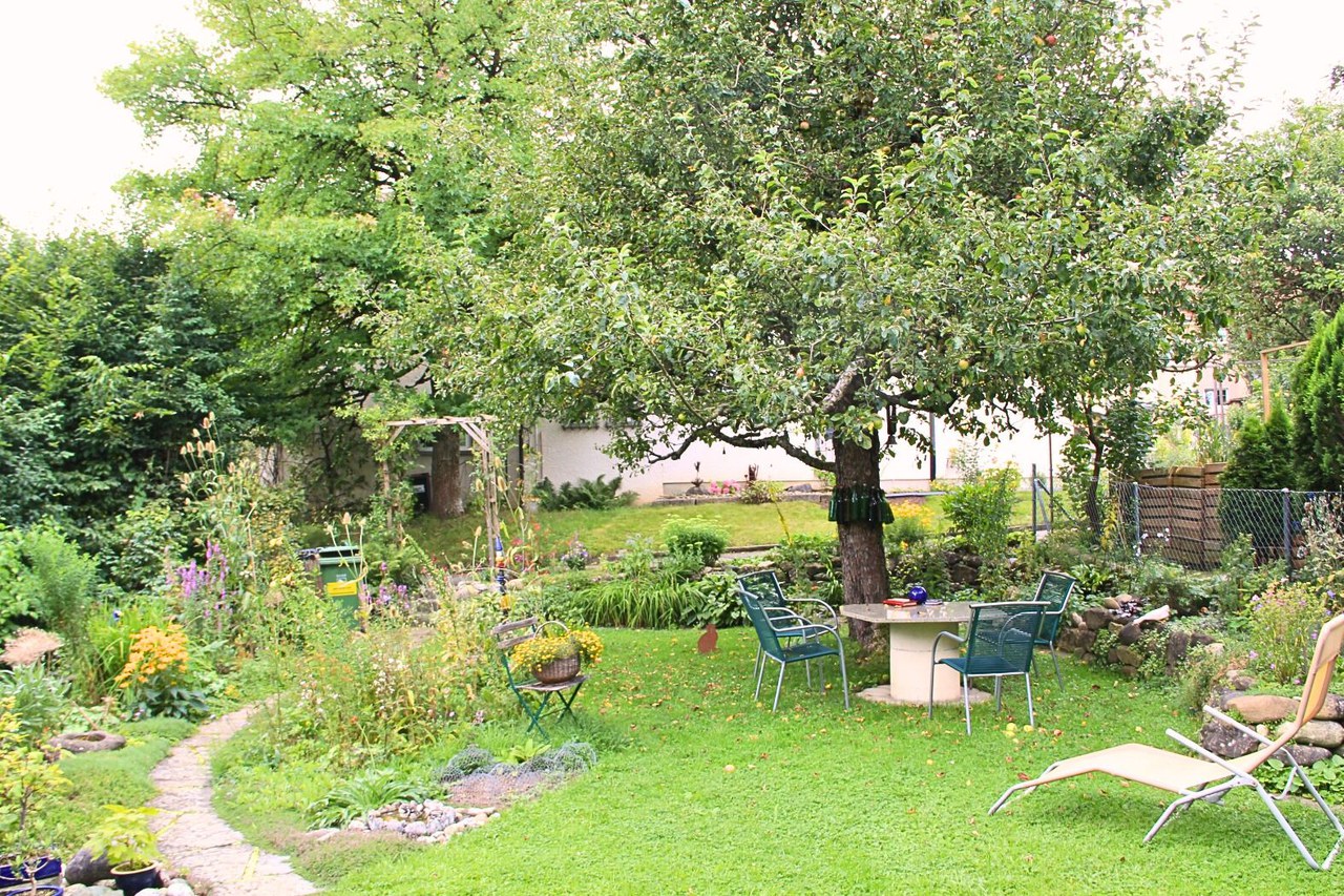 Biodiversitätsgarten mit Apfelbaum und zahlreichen Wildblumen